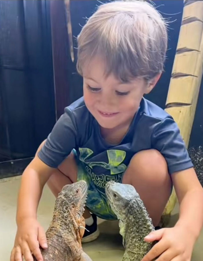 Six-year-old boy interacts with reptiles at aquarium after incident with octopus latching onto him, leaving bruises.