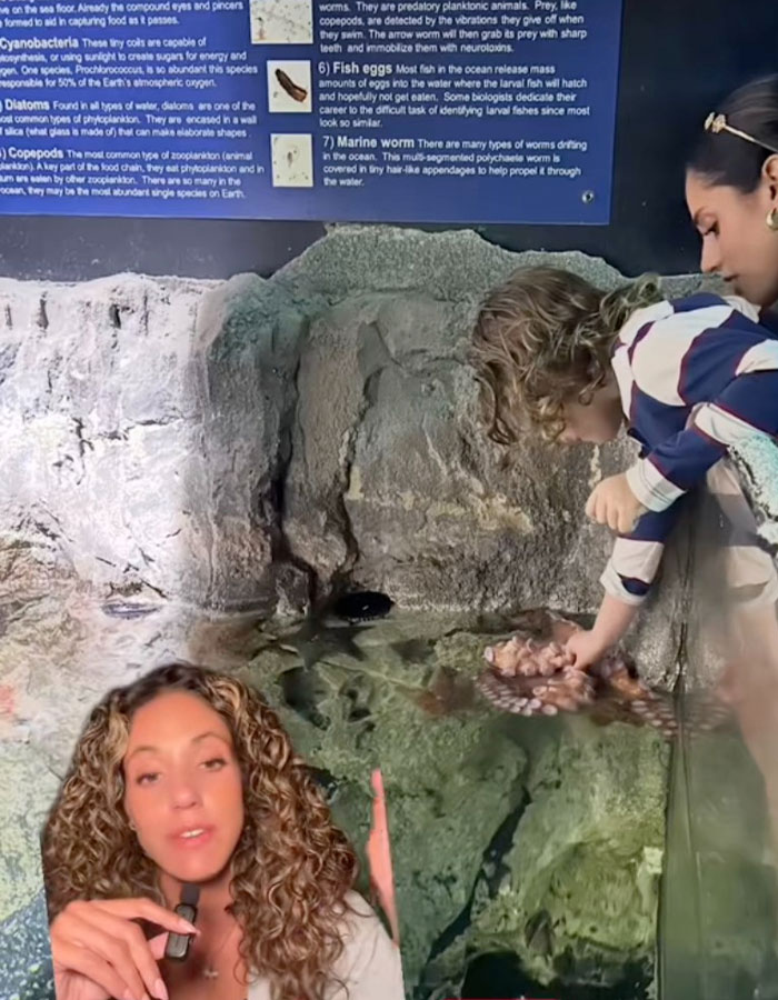 Child at aquarium touching octopus that latches onto him, while woman speaks, highlighting octopus and aquarium interaction incident.