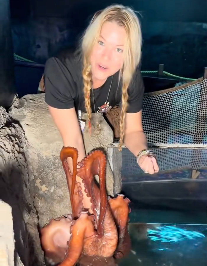 Woman with braided hair at an aquarium interacting with an octopus that latched onto a 6-year-old child and caused bruising.