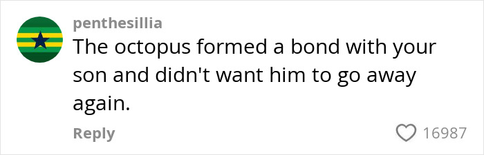 Comment on social media post about octopus latching onto child at aquarium, mentioning bond and reluctance to let go.