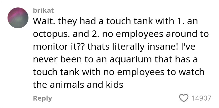 Comment discussing a touch tank with an octopus and lack of employee supervision at an aquarium.