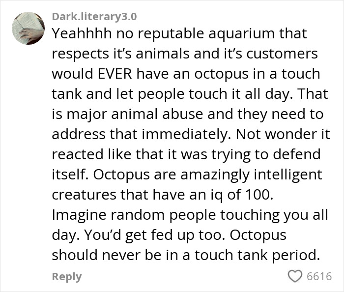 Comment discussing aquarium octopus behavior and touch tank concerns related to octopus and aquarium interactions.