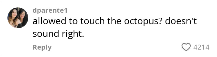 Comment about whether it is allowed to touch the octopus, questioning the safety of aquarium interactions with the sea creature.