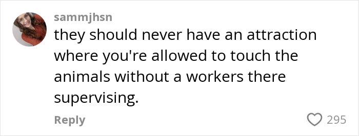 Comment criticizing an attraction allowing visitors to touch animals without worker supervision, with 295 likes.