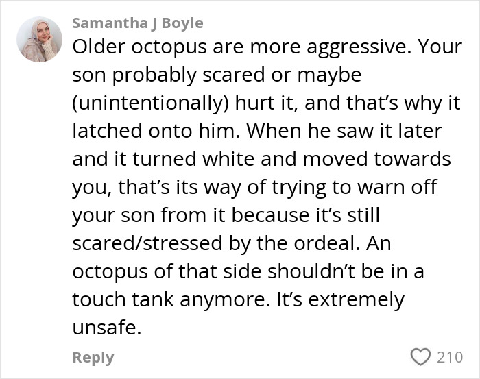 Comment explaining octopus behavior after latching onto 6-year-old at aquarium, highlighting safety concerns and stress signs.