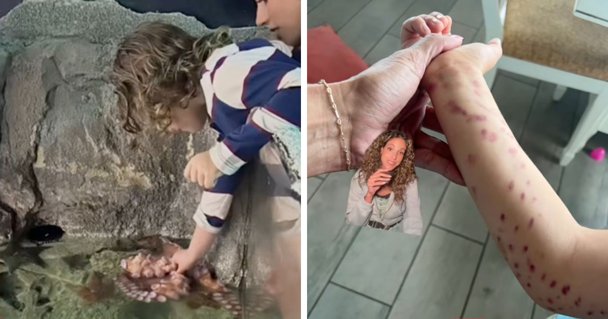 Este pulpo de un acuario atacó a un niño de 6 años y se volvió blanco la próxima vez que lo vio