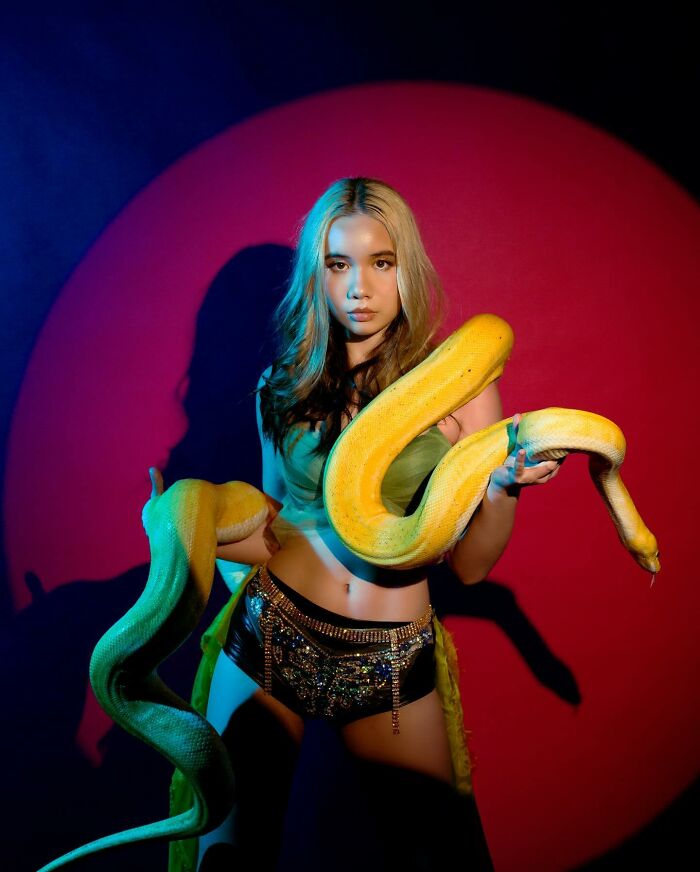 Young adult star holding a large yellow snake, posing confidently against a red and blue background in decorative outfit. Young adult star holding a large yellow snake, posing confidently against a red and blue background in decorative outfit.