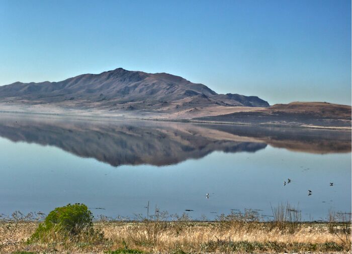 Mountain landscape reflected in still lake water, illustrating netizens' view of aspects of modern life breaking down.