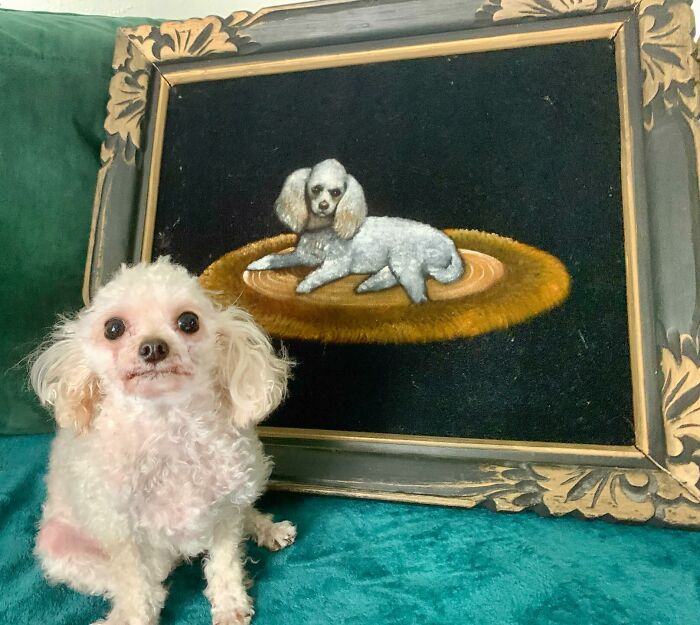 Small white dog sitting next to a framed painting of a similar dog on a green velvet surface in home decor setting.