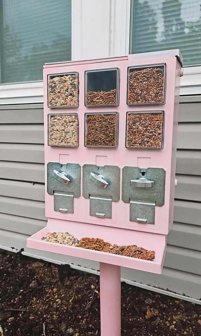 Pink multi-compartment decor piece filled with seeds and mealworms, enhancing homes with magical decor charm.