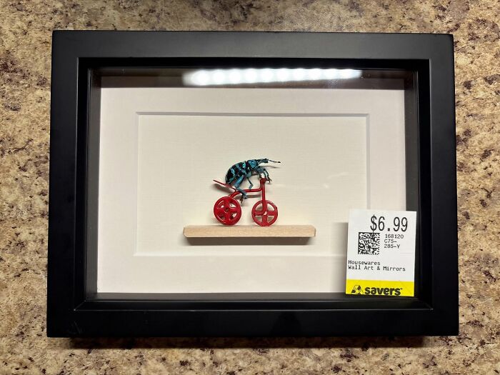 Framed wall art decor piece featuring a colorful beetle on a red bicycle, adding a magical touch to home decor.