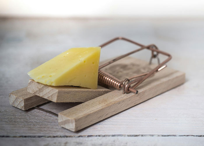 Wooden mousetrap with a piece of yellow cheese set as bait, symbolizing mysteries people personally experienced and can’t explain.
