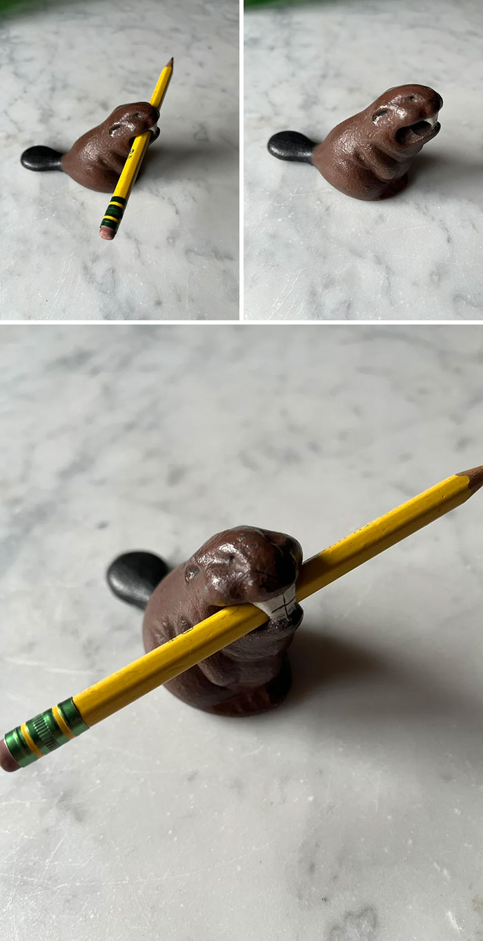Small brown beaver figurine holding a yellow pencil, one of the unique thrift store finds on a marble surface.