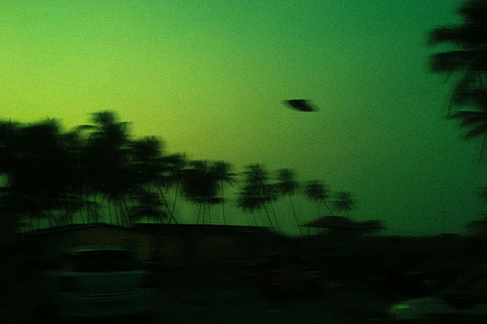Blurry night scene with palm trees and a mysterious dark object in the sky, evoking creepy experiences and eerie moments.