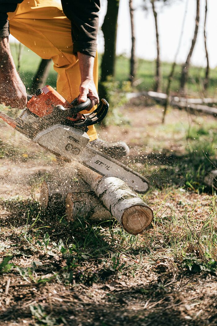 Person cutting wood with a chainsaw outdoors, capturing disturbing facts about sawdust and wood safety risks.