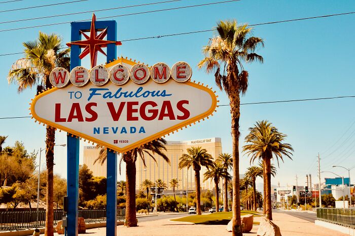 Welcome to Las Vegas sign with palm trees and cityscape in the background, capturing moments people decided to leave.