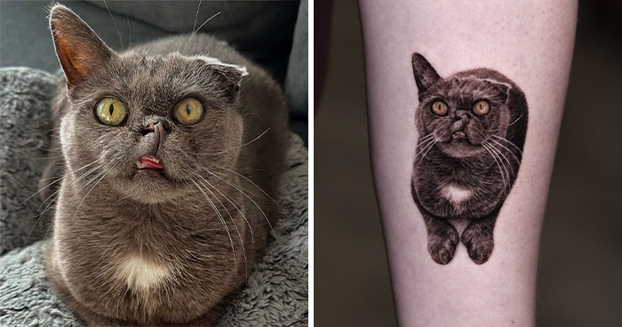This Master Of Realism Tattoos Is Bringing People’s Pets To Life On Their Skin (30 New Pics)