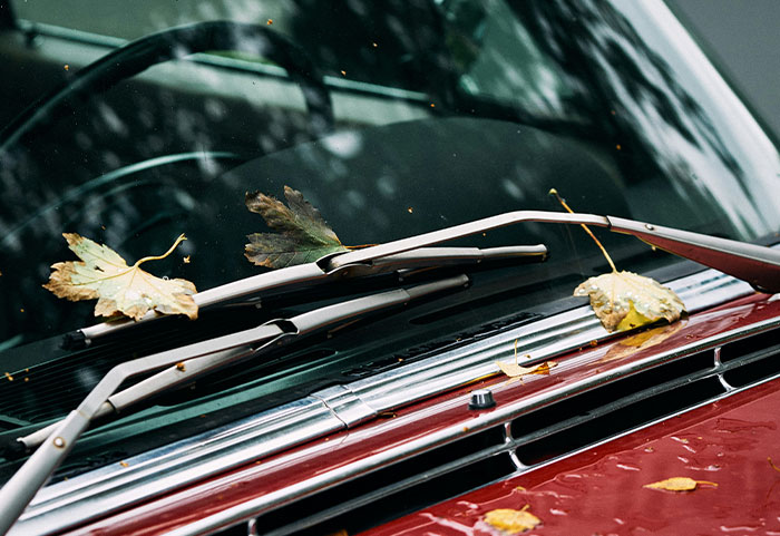 Red car windshield with autumn leaves caught under wiper blades, illustrating petty neighbor disputes shared online.