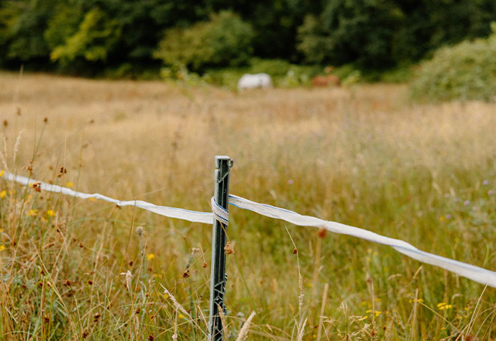 Rural field with a single fence post and taped white boundary line, illustrating neighbor disputes and petty behavior.
