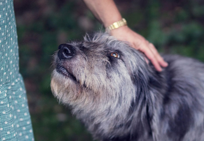 “Thought She Owned The Street”: 47 Times Neighbors Took Pettiness Too Far