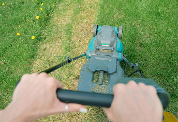 View of hands pushing a lawn mower on grass, showing an example of neighbors so petty they had to be shamed online.