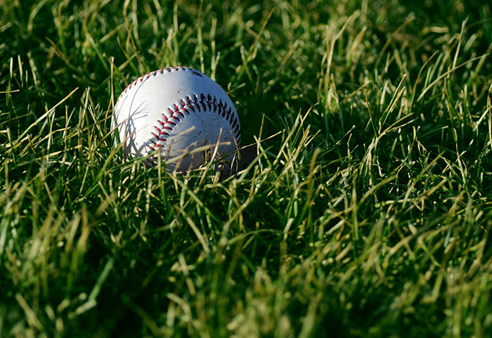 A baseball resting in green grass symbolizing neighbors so petty they had to be shamed online for their actions.