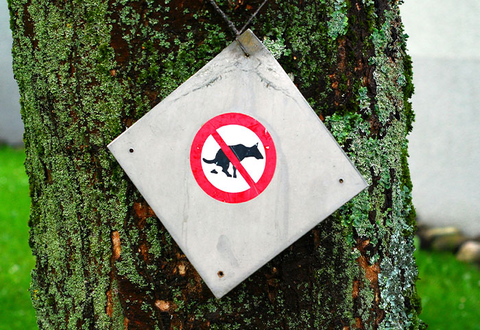 No dog pooping sign attached to a mossy tree, illustrating petty neighbors shamed online for strict rules.