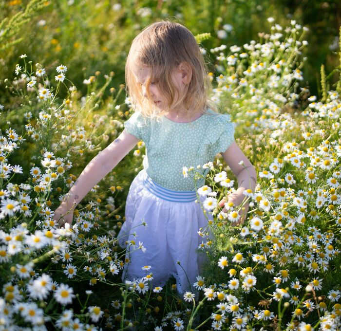 Young girl in a field of daisies, symbolizing the bond of a non-biological child in a fianc&eacute; wedding setting.