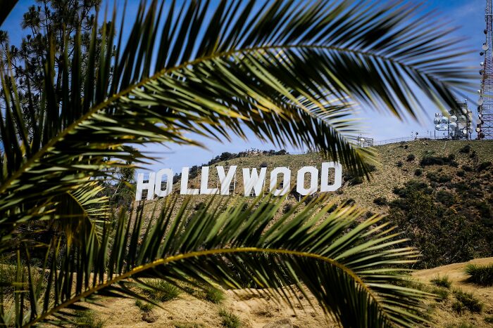 Hollywood sign on a hillside framed by palm leaves, symbolizing celeb duos sharing a common name in entertainment. Hollywood sign on a hillside framed by palm leaves, symbolizing celeb duos sharing a common name in entertainment.