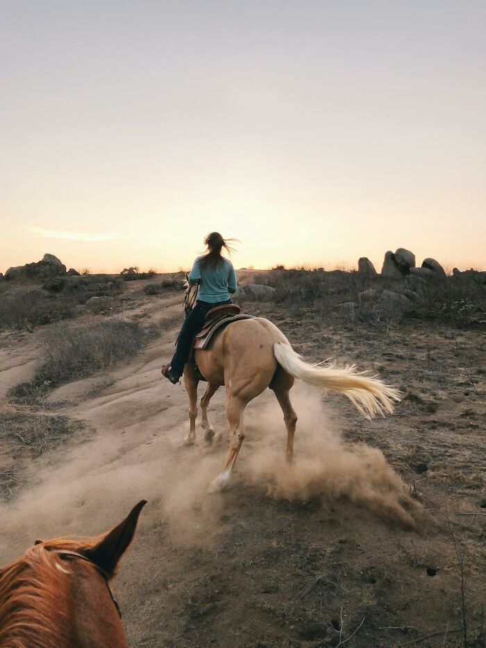 Person riding a light brown horse on a dusty trail at sunset, illustrating people surviving crazy situations outdoors.