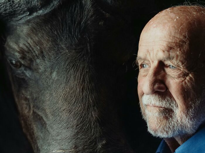 Elderly man with a white beard gazing thoughtfully beside a horse, reflecting on past life identity questions.