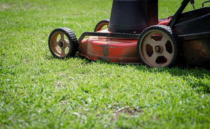 Close-up of a rusty lawn mower cutting grass, illustrating boyfriend mowing his ex’s lawn amid relationship conflict. Close-up of a rusty lawn mower cutting grass, illustrating boyfriend mowing his ex’s lawn amid relationship conflict.