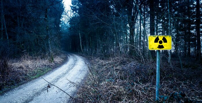 Radiation warning sign beside a deserted forest path, illustrating tiny human mistakes that changed history.