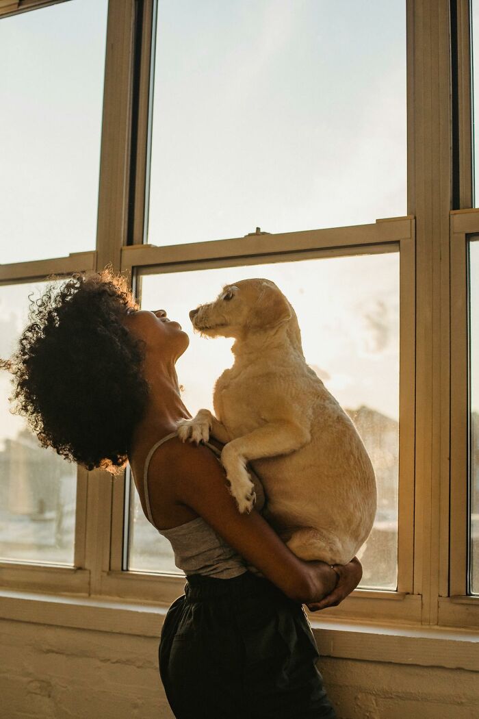 Woman holding a dog indoors by large window, sharing heartwarming and harmless secrets with her pet in warm sunlight.