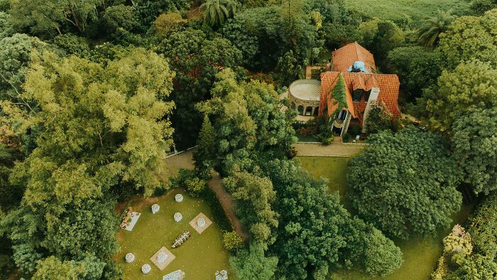 Aerial view of a hidden estate surrounded by dense trees, symbolizing wild secrets discovered after someone passed away.