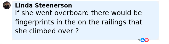 Comment by Linda Steenerson questioning fingerprints on railings related to Amy Bradley cruise ship mystery theory. Comment by Linda Steenerson questioning fingerprints on railings related to Amy Bradley cruise ship mystery theory.