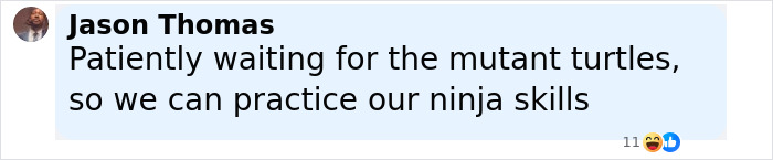 Comment by Jason Thomas about waiting for mutant turtles to practice ninja skills, highlighting a humorous take on mutant creatures.