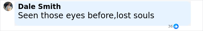 Comment by Dale Smith reading Seen those eyes before, lost souls, highlighting a moment body language expert decodes Bonnie Blue expression change. Comment by Dale Smith reading Seen those eyes before, lost souls, highlighting a moment body language expert decodes Bonnie Blue expression change.