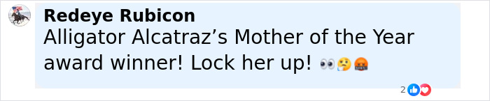 Screenshot of a social media comment referring to a mother allegedly involved in planning a mass school shooting with her 13-year-old son. - 14