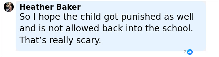 Comment by Heather Baker expressing concern about a child involved in a planned mass school shooting incident. - 17