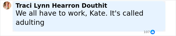 Comment on social media criticizing reality star Kate Gosselin about returning to her nursing career after public downfall.