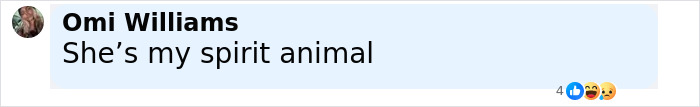 Comment from Omi Williams saying she&rsquo;s my spirit animal with reaction emojis, related to Will Smith's and Jada Pinkett's daughter worries.