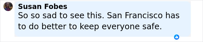 Comment on social media post expressing sadness about safety concerns in San Francisco involving a good Samaritan protecting helpless mom and children.