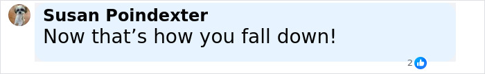 Comment by Susan Poindexter saying Now that&rsquo;s how you fall down! with a small dog profile picture.