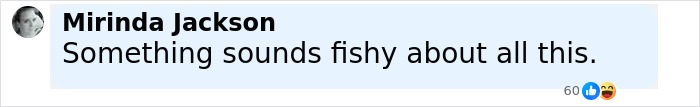 Comment stating something sounds fishy, with a profile picture of a woman and reactions visible below the text. Comment stating something sounds fishy, with a profile picture of a woman and reactions visible below the text.