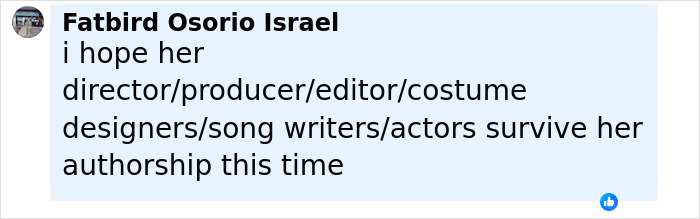 Comment criticizing the director and production team after Blake Lively gets leading role in new rom-com.