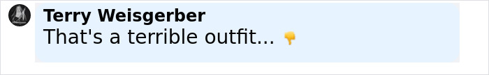 Comment from Terry Weisgerber criticizing an outfit as terrible in a social media post.