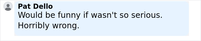 User comment from Pat Dello expressing disapproval by stating would be funny if not so serious and horribly wrong.