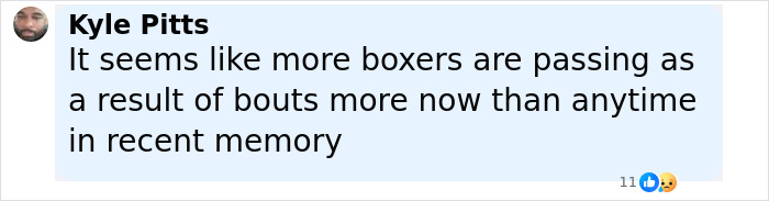 &ldquo;Darkest Night in Boxing History&rdquo;: 2 Japanese Boxers Pass Away, 1 In A Coma After Fights On The Same Night