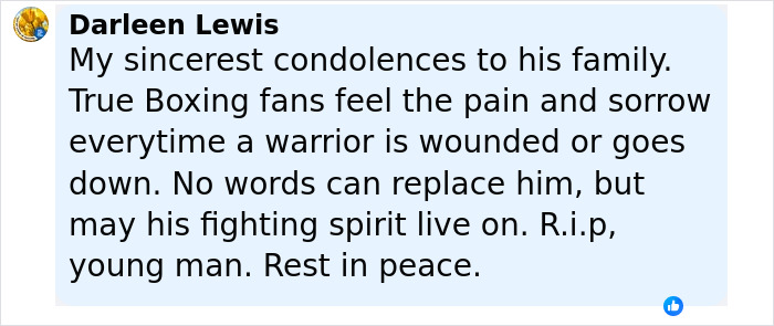 &ldquo;Darkest Night in Boxing History&rdquo;: 2 Japanese Boxers Pass Away, 1 In A Coma After Fights On The Same Night
